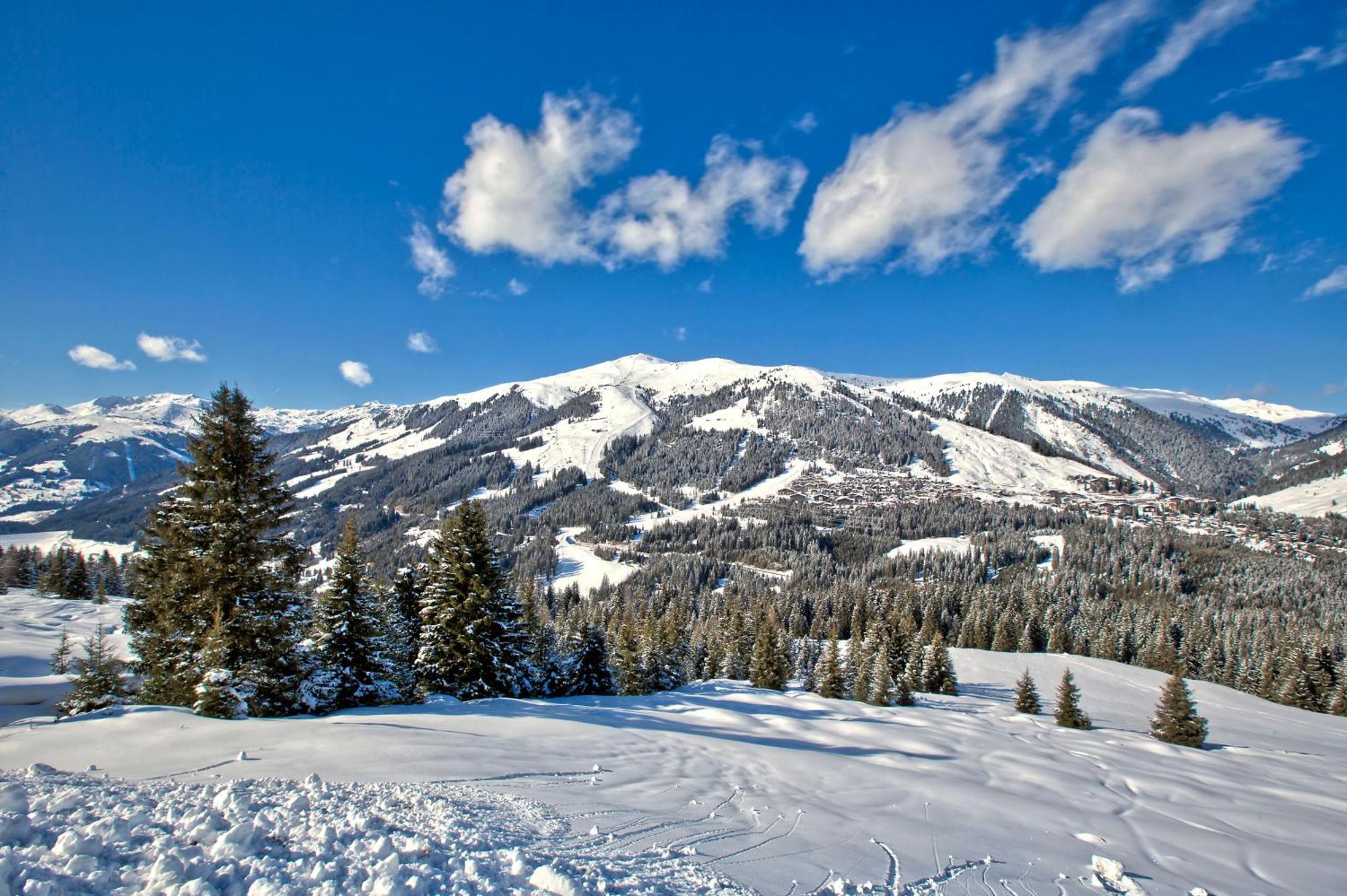 Apartment Bacher Wald im Pinzgau Exteriör bild